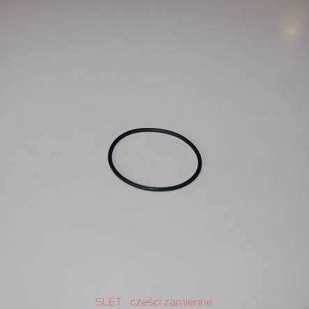 21096 O-ring